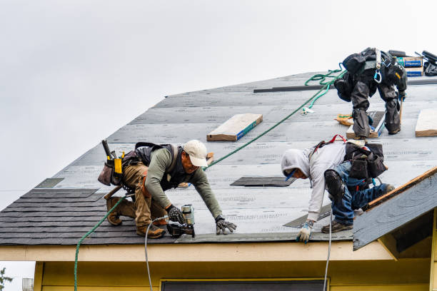 Professional Gutter Installation technician working in Macedon, NY